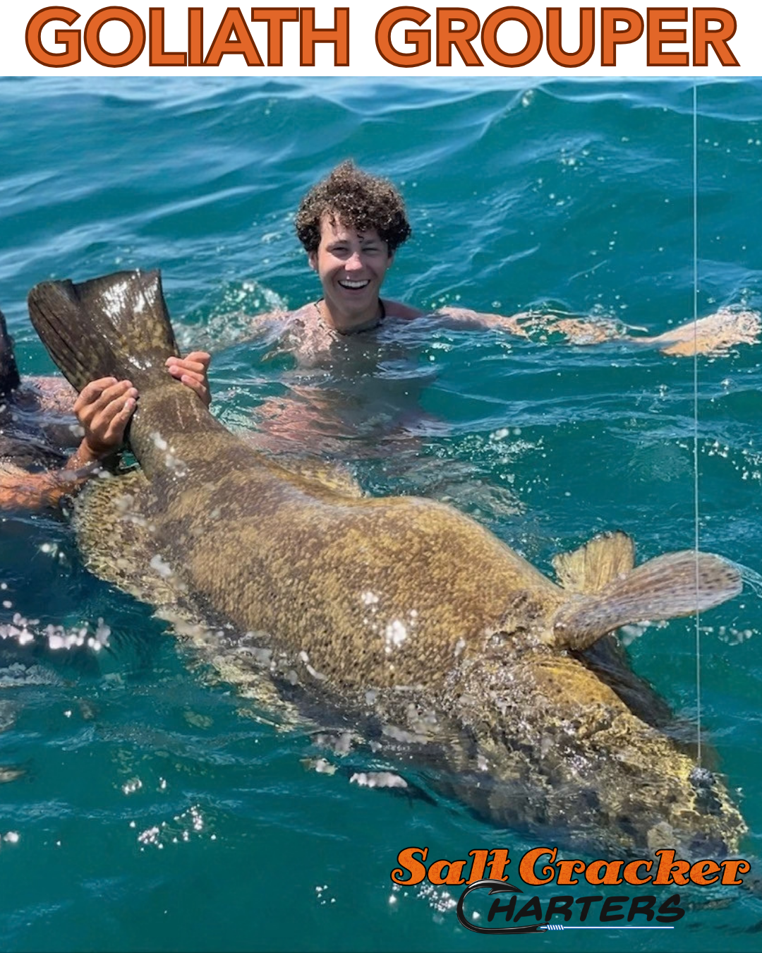 GOLIATH GROUPER
