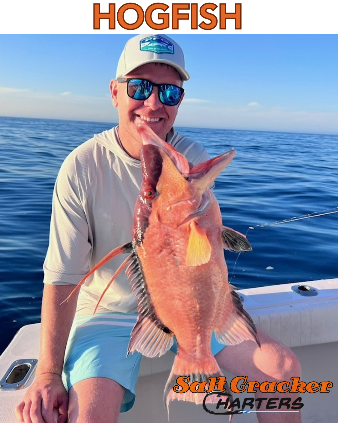 HOGFISH