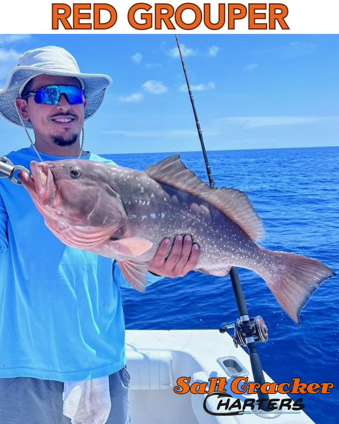 RED GROUPER