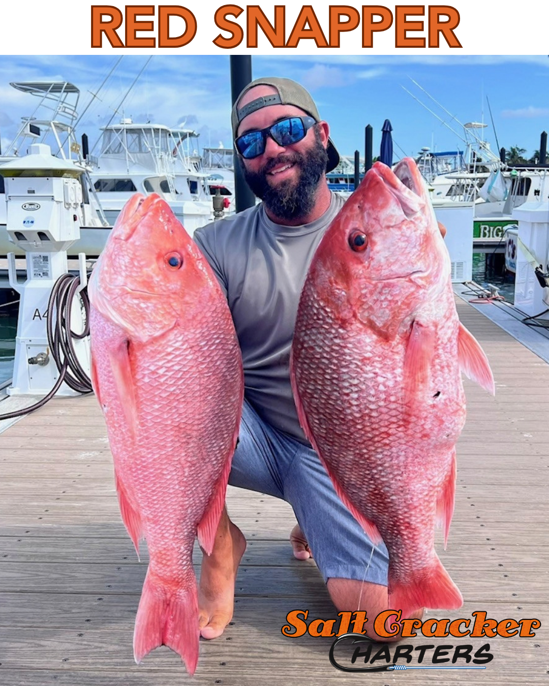 RED SNAPPER