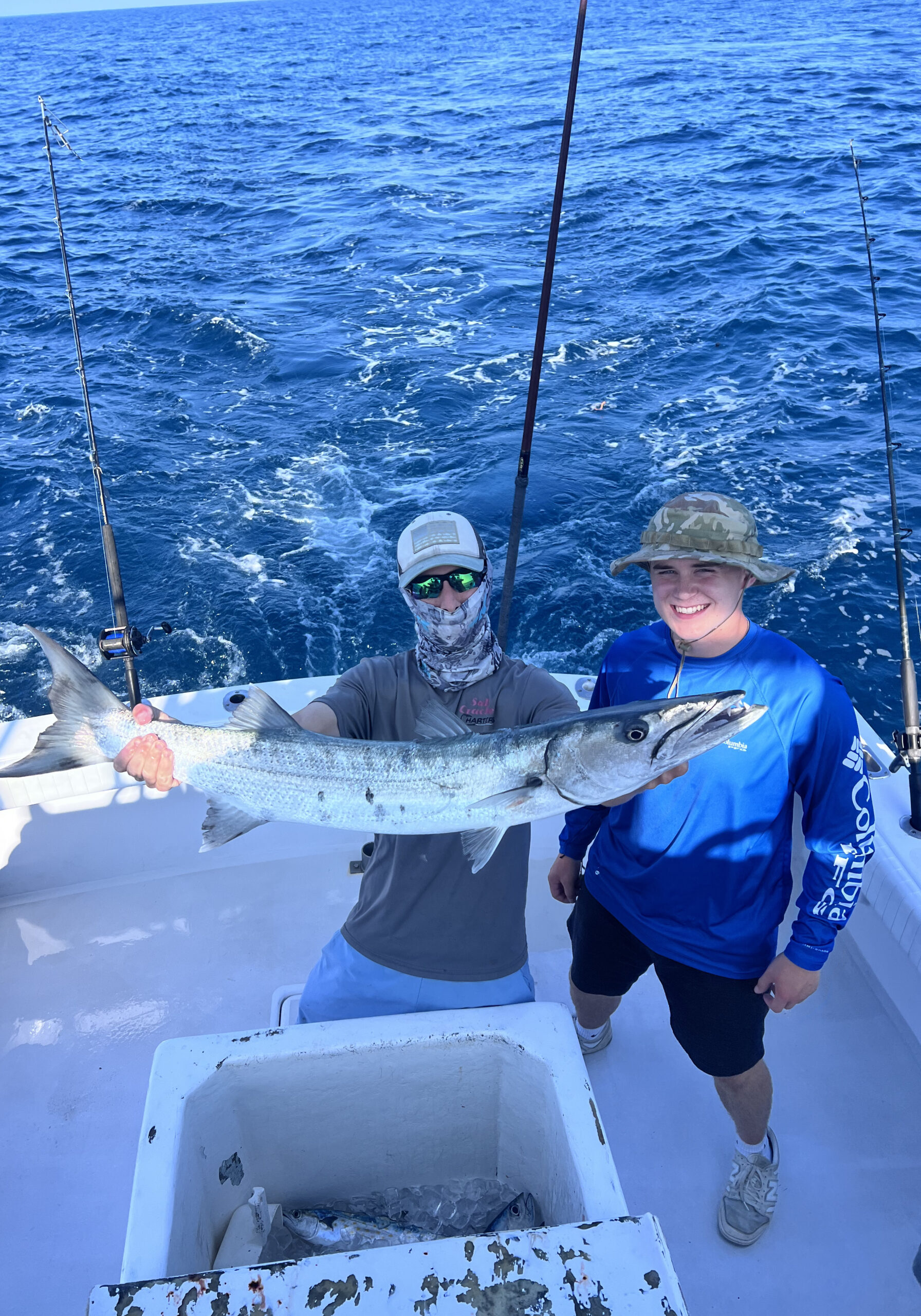 Barracuda(1)