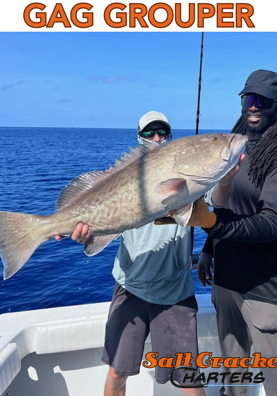 GAG GROUPER