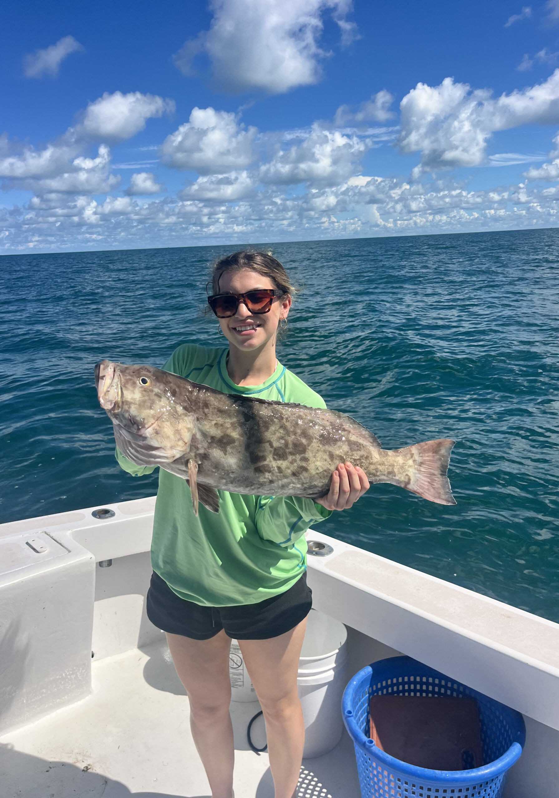 Gag Grouper