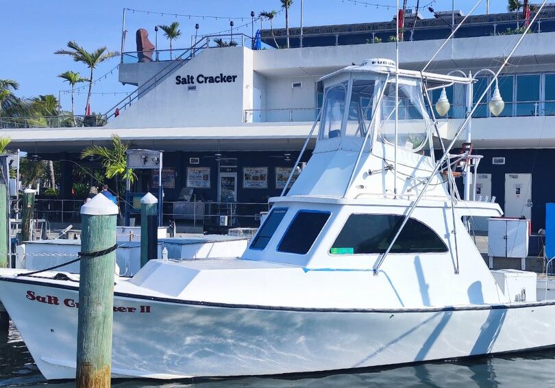 Salt Cracker II