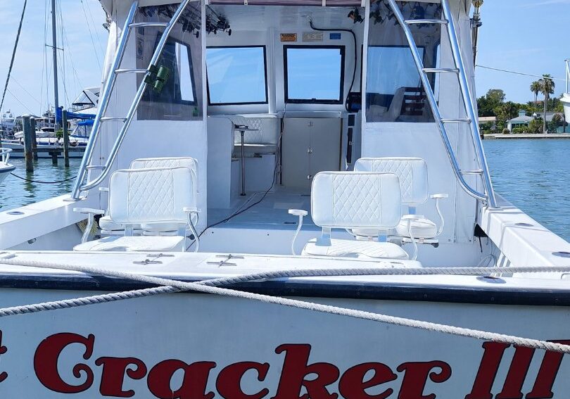 Salt Cracker III